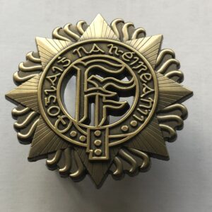 Irish Defence Force metal badge